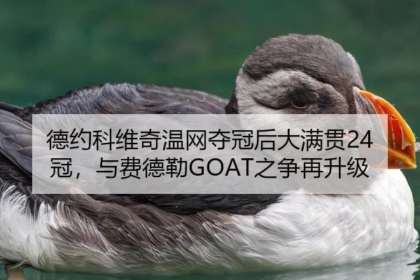 德约科维奇温网夺冠后大满贯24冠，与费德勒GOAT之争再升级