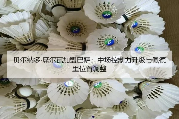 bei-er-na-duo-xi-er-wa-jia-meng-ba-sa-zhong-chang-kong-zhi-li-sheng-ji-yu-pei-de-li-wei-zhi-tiao-zheng-3-619.jpg